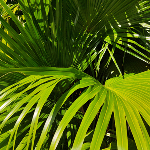 男厕丨2月偷拍合集
